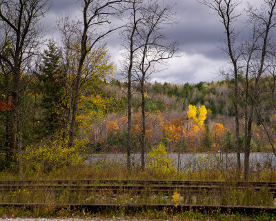 Matin gris  Wakefield / Grey Morning in Wakefield (Qubec)