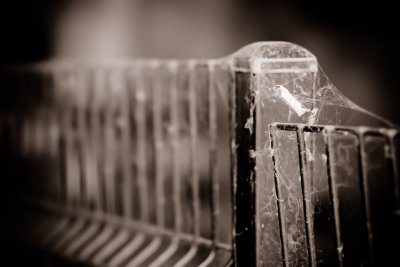 Clture de maison hante / Fence of a Haunted House