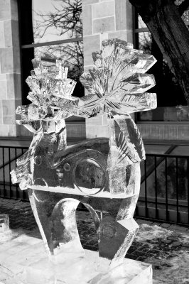 Bal de neige  Ottawa / Winterlude in Ottawa