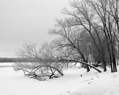 Paysage d'hiver :) / Winter Landscape ;)
