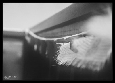 Canon A1 Film camera