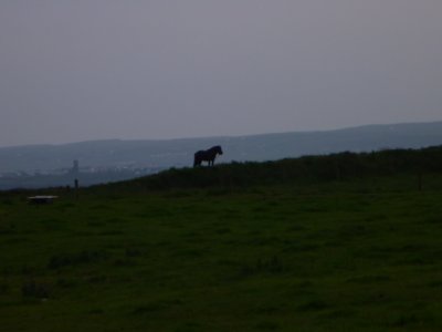 g4/77/928177/3/144912316.o6RZ2J01.jpg