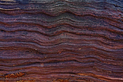 Pattern in the side of an old log