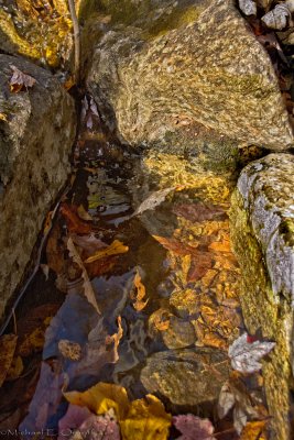 Fall leaves create a kalidescope of color passing through a pool of clear water in a mountain stream