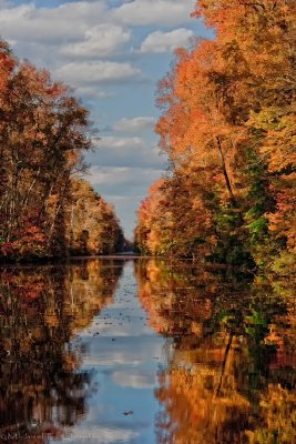 Dismal Swamp Canal at Fall