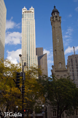 The Magnificent  Mile