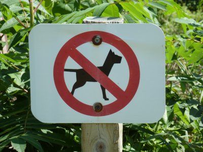 No dogs sign - UW Arboretum, Madison, WI - 2011-08-14