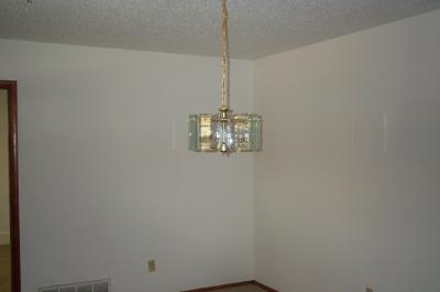 DCP_9295.JPG