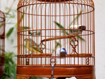 Not sure which is cuter -- bird or cutlery