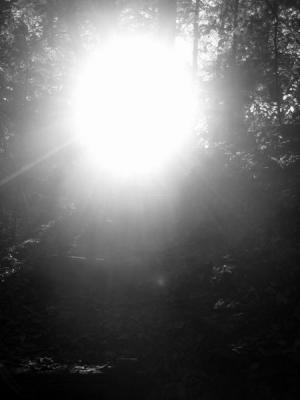 Light fade