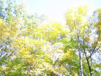 Sun I