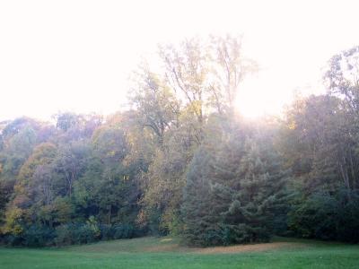Arbit garden