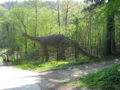 Saurierfhrten(Dinosaurus sporen) bij Bad Essen-Barkhausen