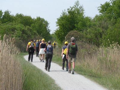 Duinen van Schiermonnikoog