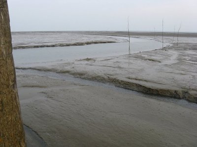 Het wad drooggevallen met vaargeul naar haven Schiermonnikoog