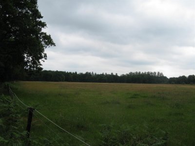 tussen Wolvega en Steenwijk