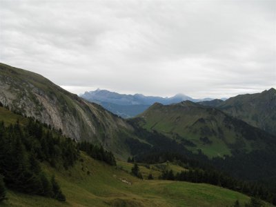 Vooruitblik, links de Col de la Golèse