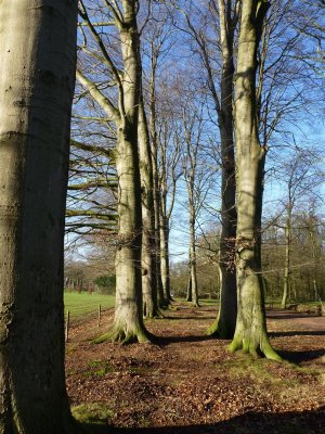 bij Rijssen De Oosterhof