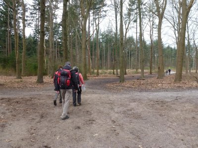 Tussen Baarn en Lage Vuursche