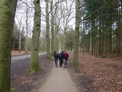 Tussen Baarn en Lage Vuursche