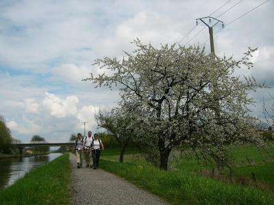 Canal des Houillres de Sarre