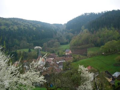 uitzicht over Wackenbach