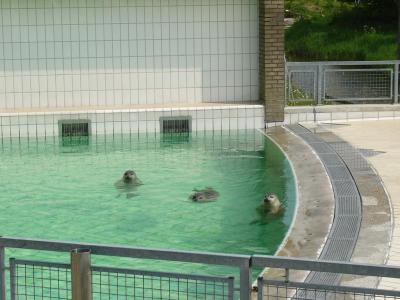 Zeehondencreche Pieterburen