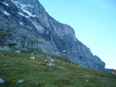 Eiger trail