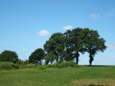 P1010146(1).JPG