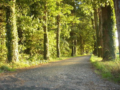 P1010160(1).JPG