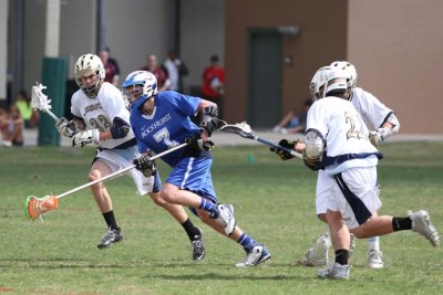 IMG_2234.jpg