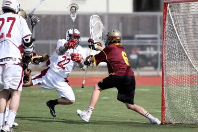 IMG_2463.jpg