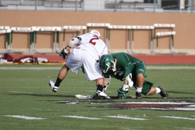 IMG_3937.jpg