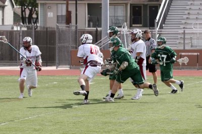 IMG_4203.jpg