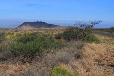 IMG_8243.jpg