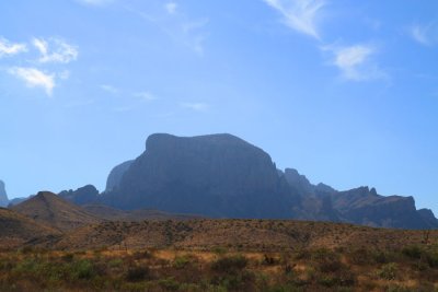 IMG_8247.jpg