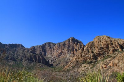 IMG_8256.jpg