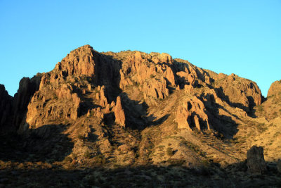 IMG_8365.jpg