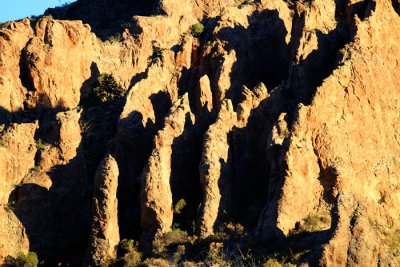 IMG_8409.jpg