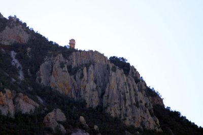 IMG_8421.jpg