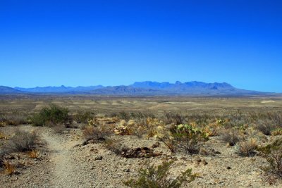 IMG_8462.jpg