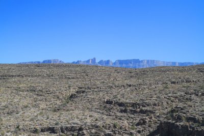 IMG_8466.jpg