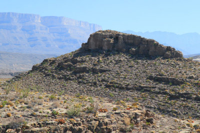 IMG_8468.jpg