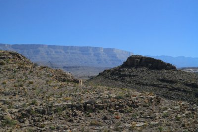 IMG_8469.jpg