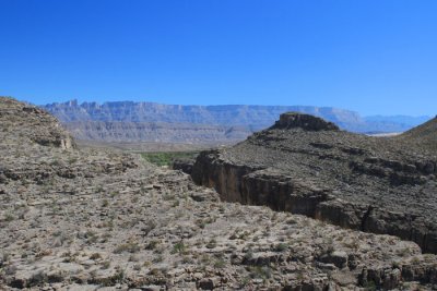IMG_8472.jpg