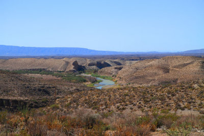 IMG_8475.jpg