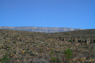 IMG_8515.jpg