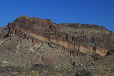 IMG_8533.jpg