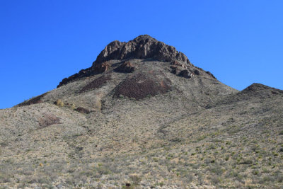 IMG_8537.jpg