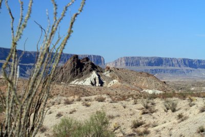 IMG_8547.jpg